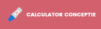 calculator conceptie